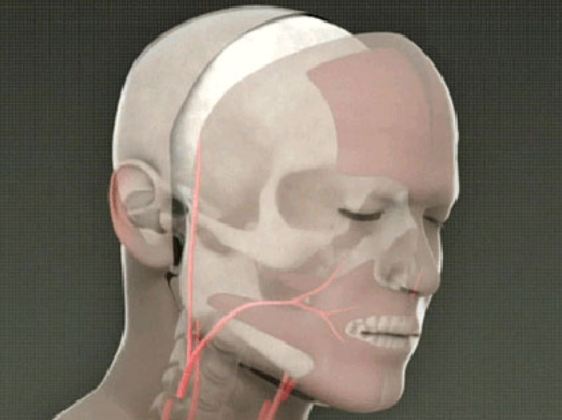 【醫療生科】｢變臉｣？從最新案例談臉部移植