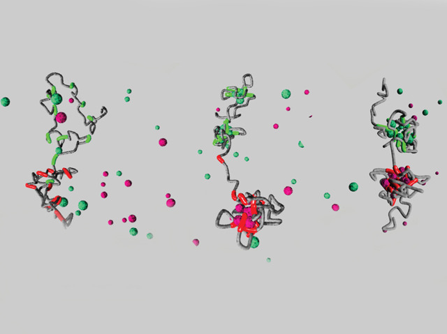 基因定序完成,發現自閉症基因指揮官