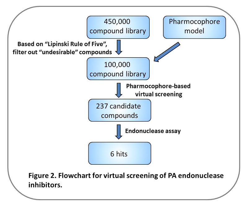 【醫療生技】華裔高中生跨領域篩出可能的抗流感化合物，阻斷病毒蛋白質合成