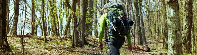 夏日防蚊: 含DEET防蚊液仍是實用選項  但需注意使用方法與時效