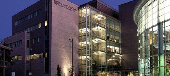 研究發現有如運動員體格的骨髓造血幹細胞