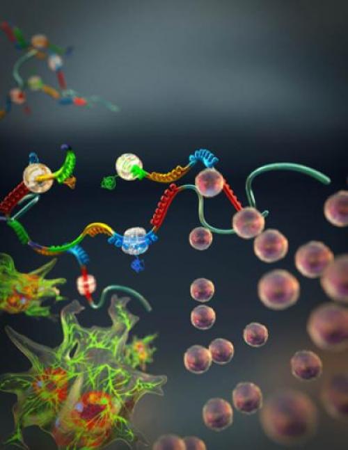 RNA generation