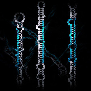 未來可透過驗血早期發現阿茲海默症