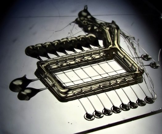 3D print blood vessel