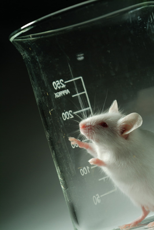 聞不到花生醬? 小心你得了阿茲海默症