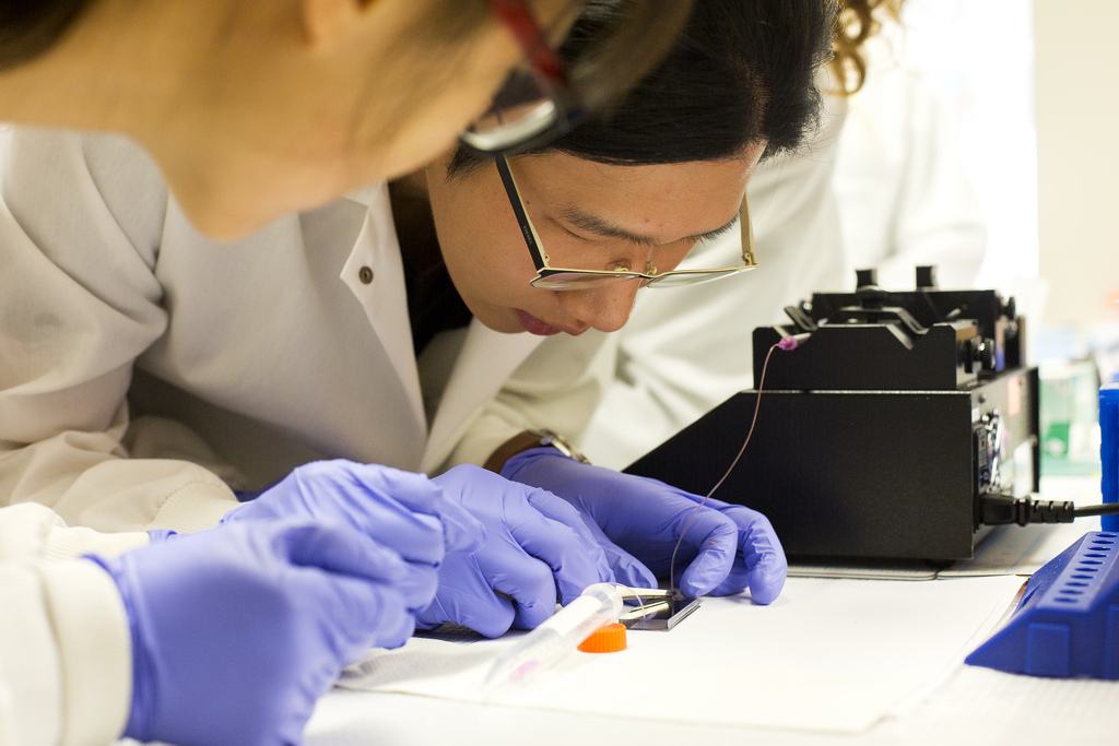 1cc血找出各種癌細胞 奈米碳管精準投藥