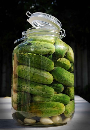 in-a-pickle