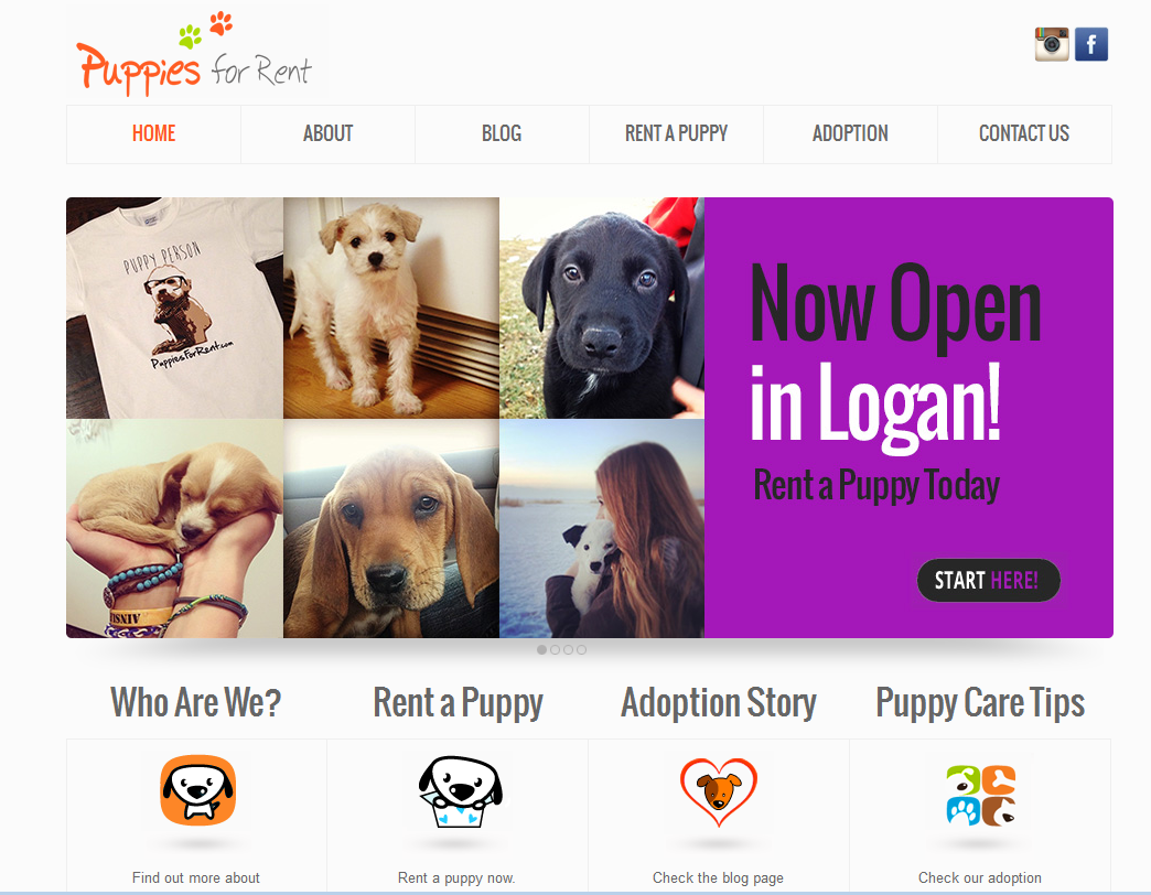 puppies for rent 線上租狗促認養 美大學畢業生創業賺錢護犬兼顧 technews 科技新報 puppies for rent 線上租狗促認養 美大學畢業生創業賺錢護犬兼顧 technews 科技新報