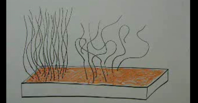 artificial cells dna 02