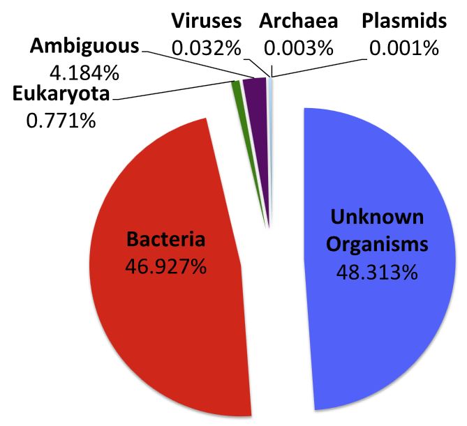 2015021102 bacteria NYC subway microbe