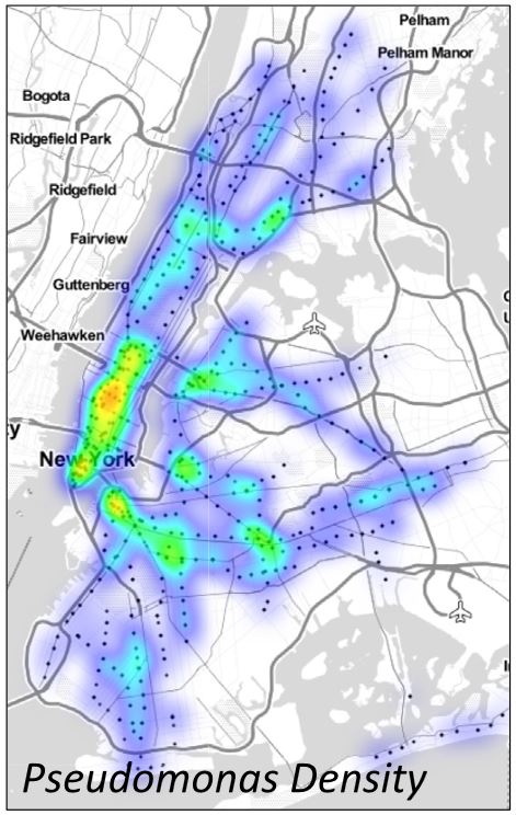 2015021103 bacteria NYC subway microbe