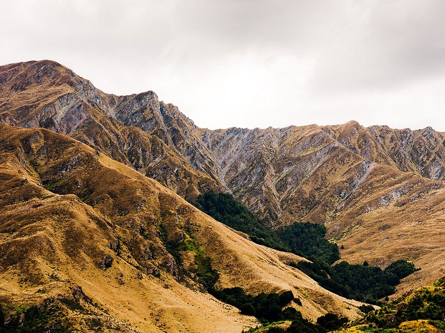 Mountain