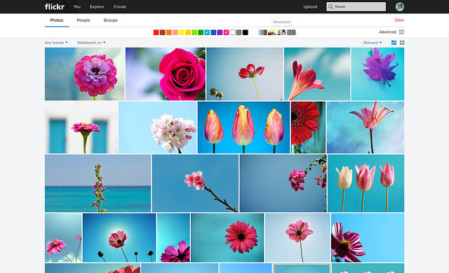 flickr 4.0 search flower 20150508