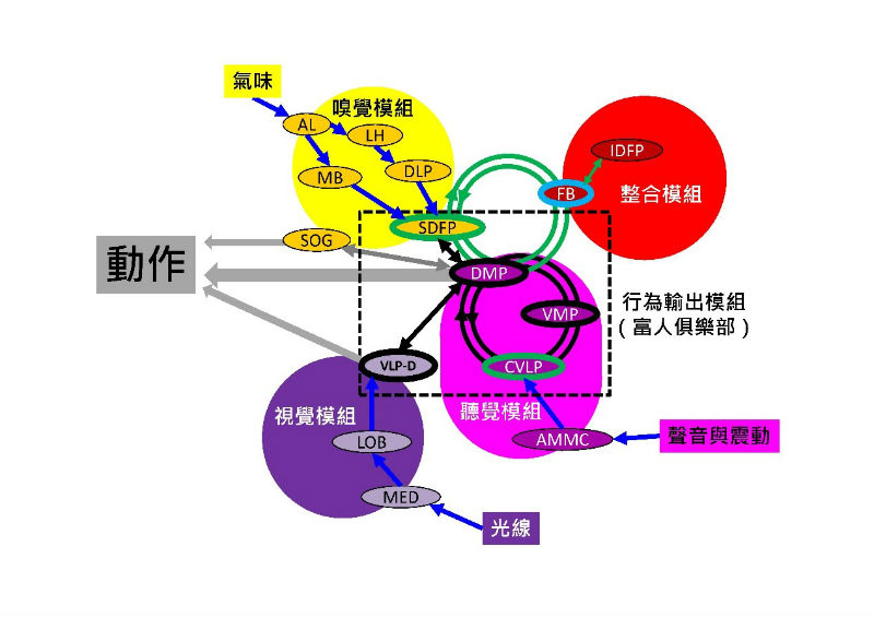外稿