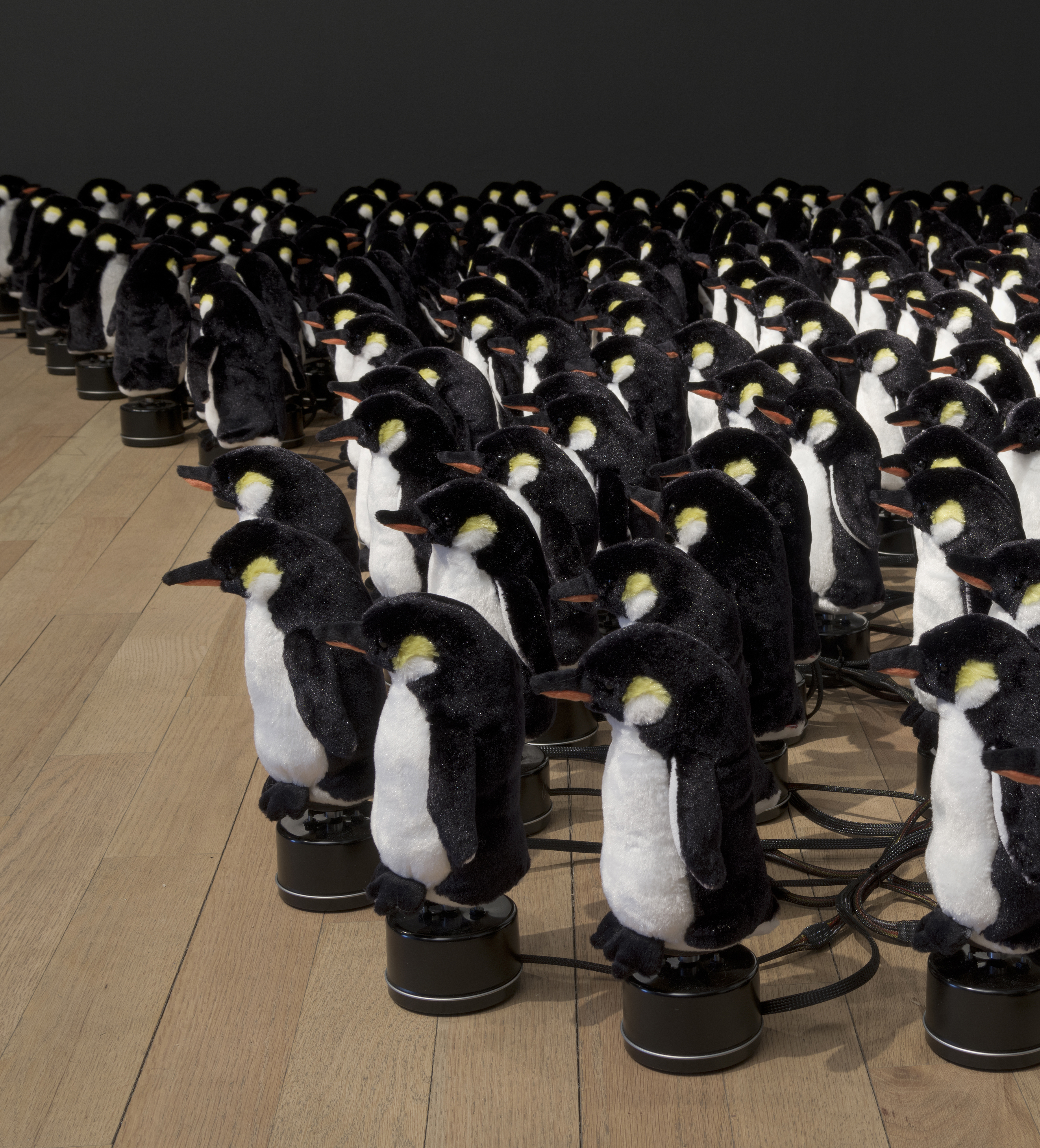 05HR_penguins-mirror