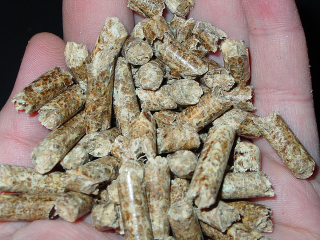 wood pellet