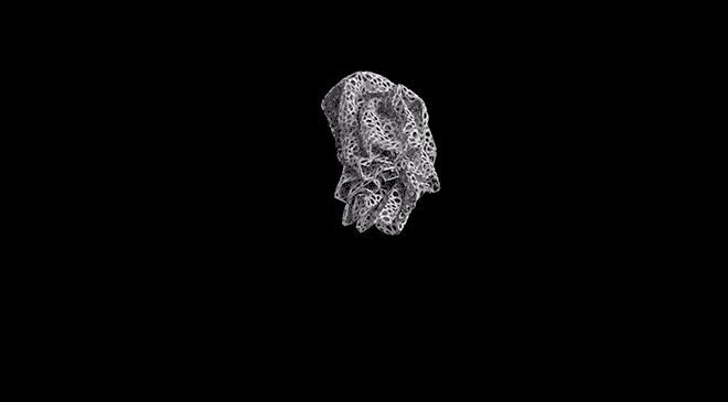 3d-print-clothing-leiphone072803
