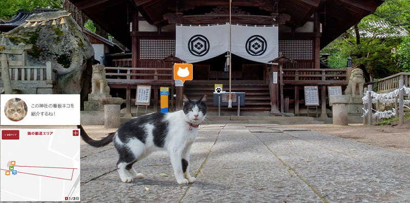 cat_pingwest090401