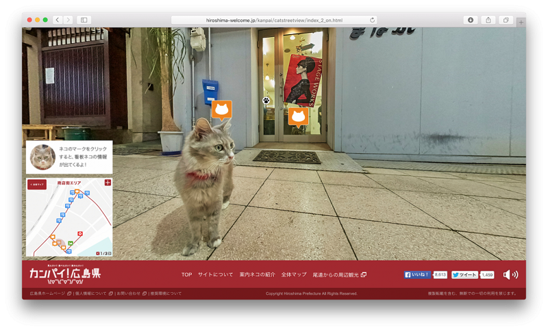 cat_pingwest090403