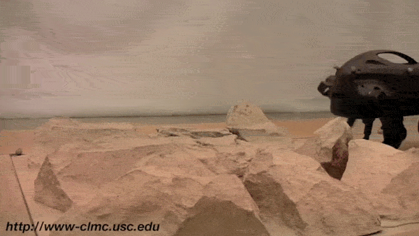 Boston Dynamics_pingwest1002