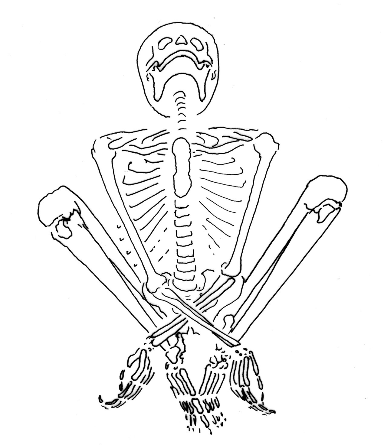 phys.org