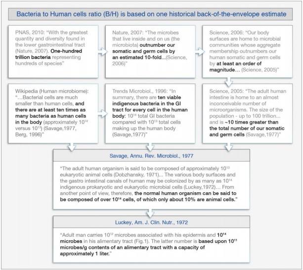 biorxiv.org