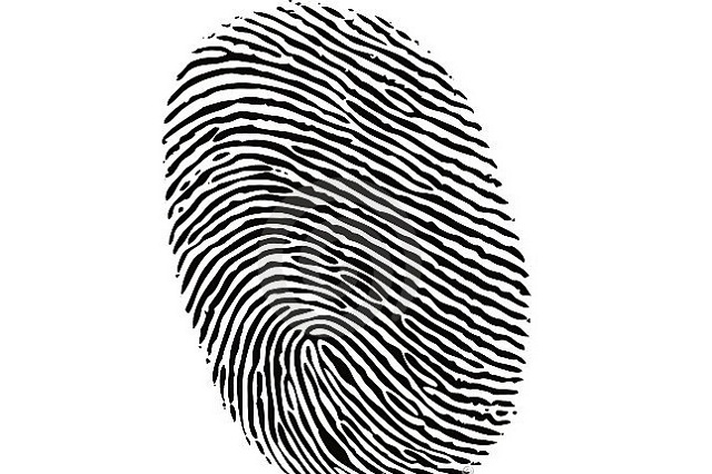 fingerprint