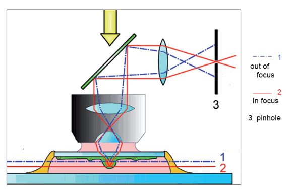 Confocal Microscope