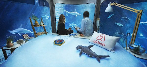 shark hotel 2