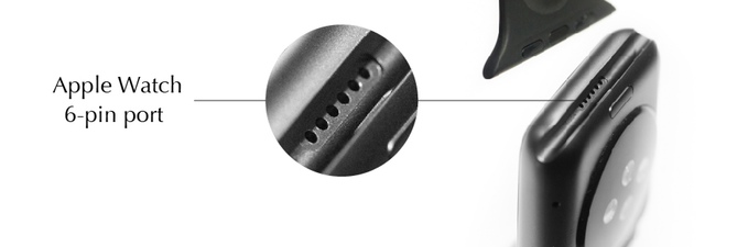 Apple Watch 6 pin port