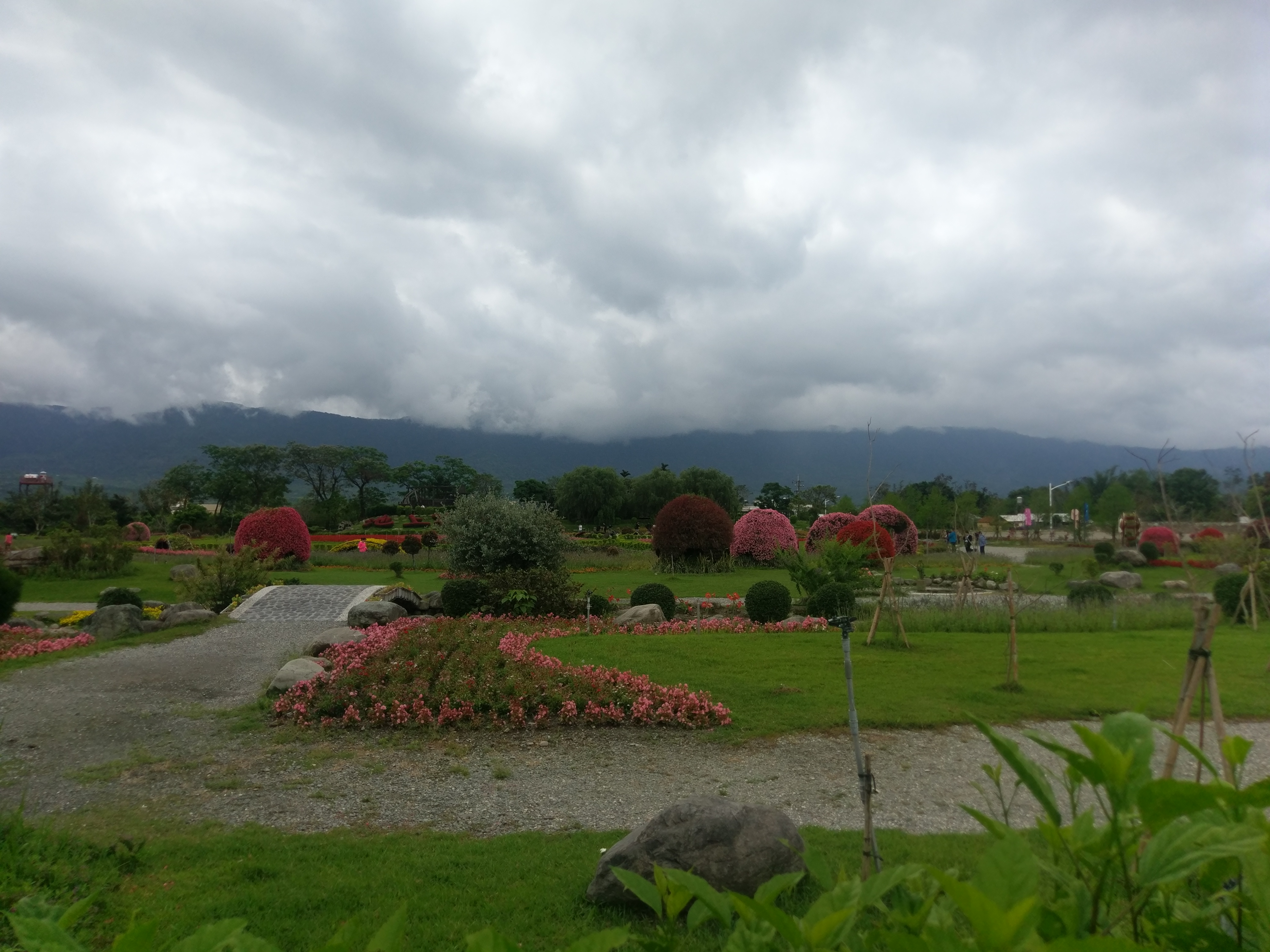 IMAG0011