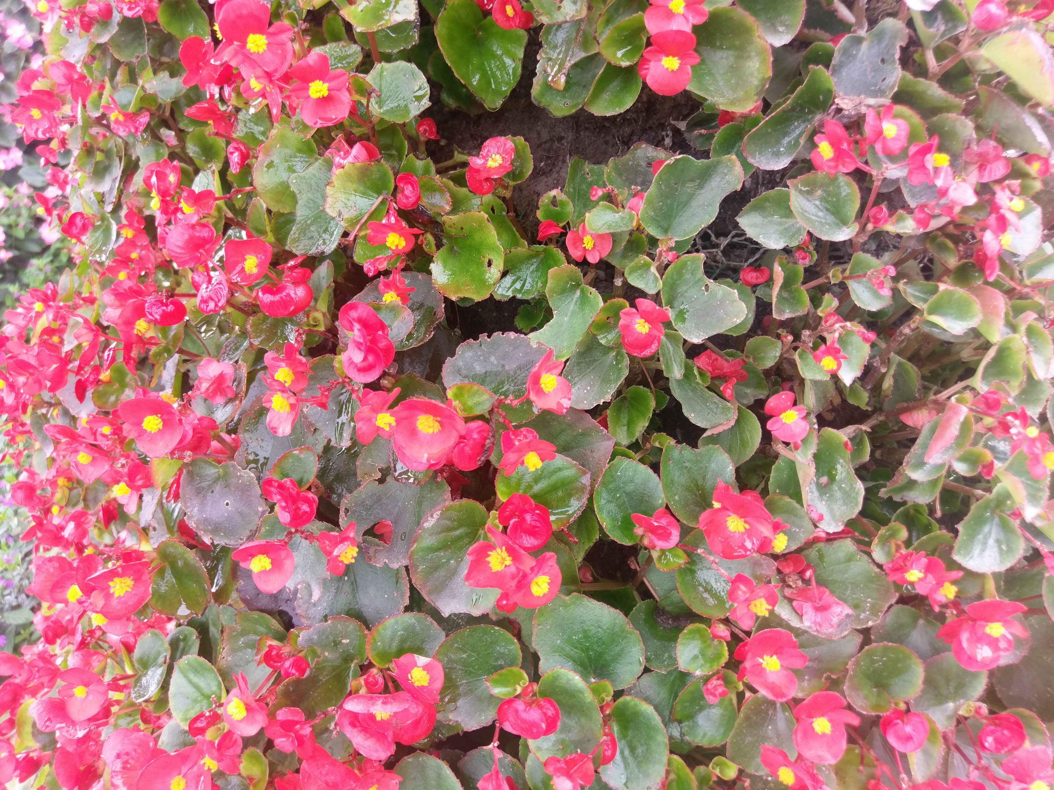 HTC 10 test photo