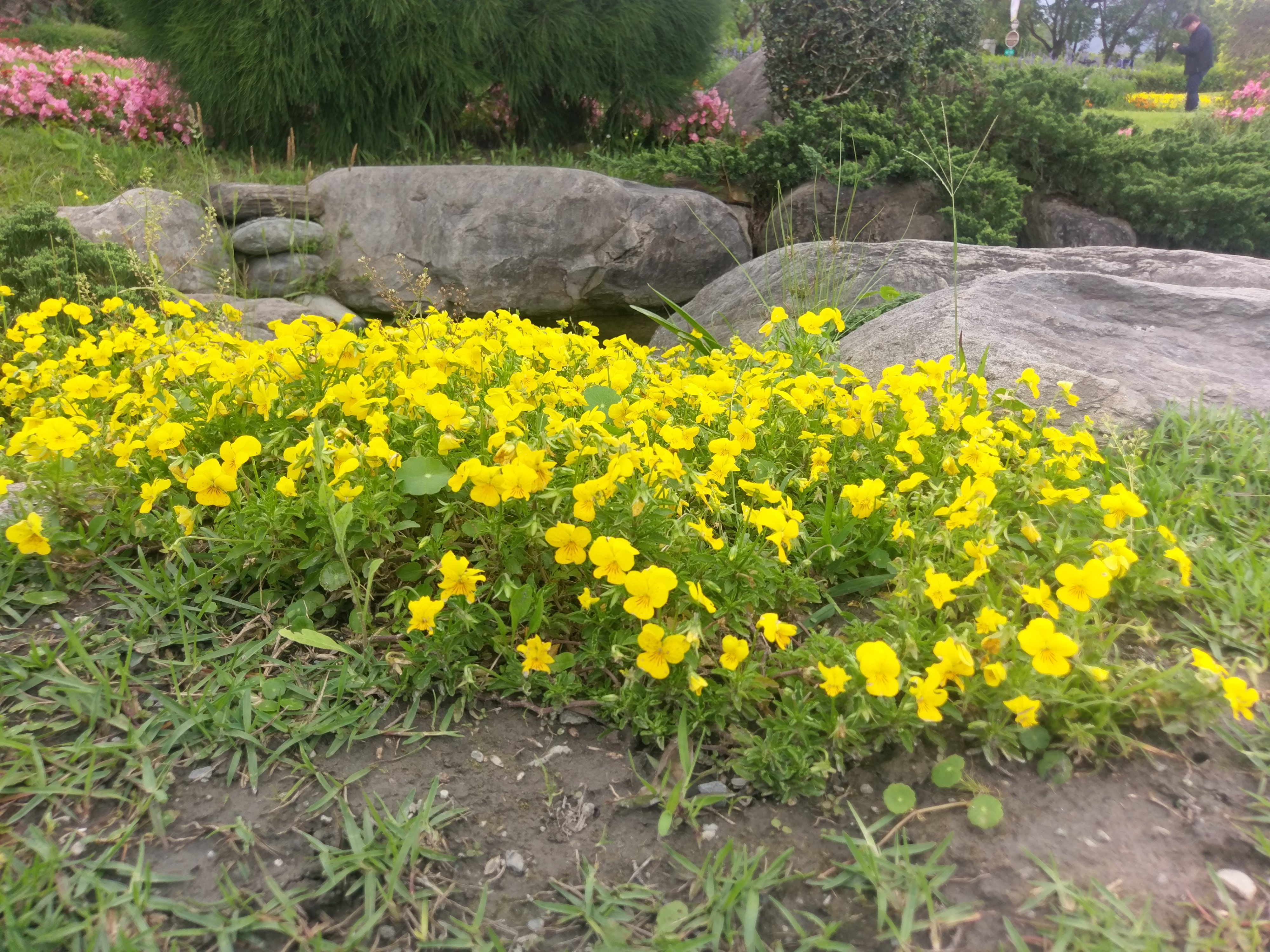 IMAG0015