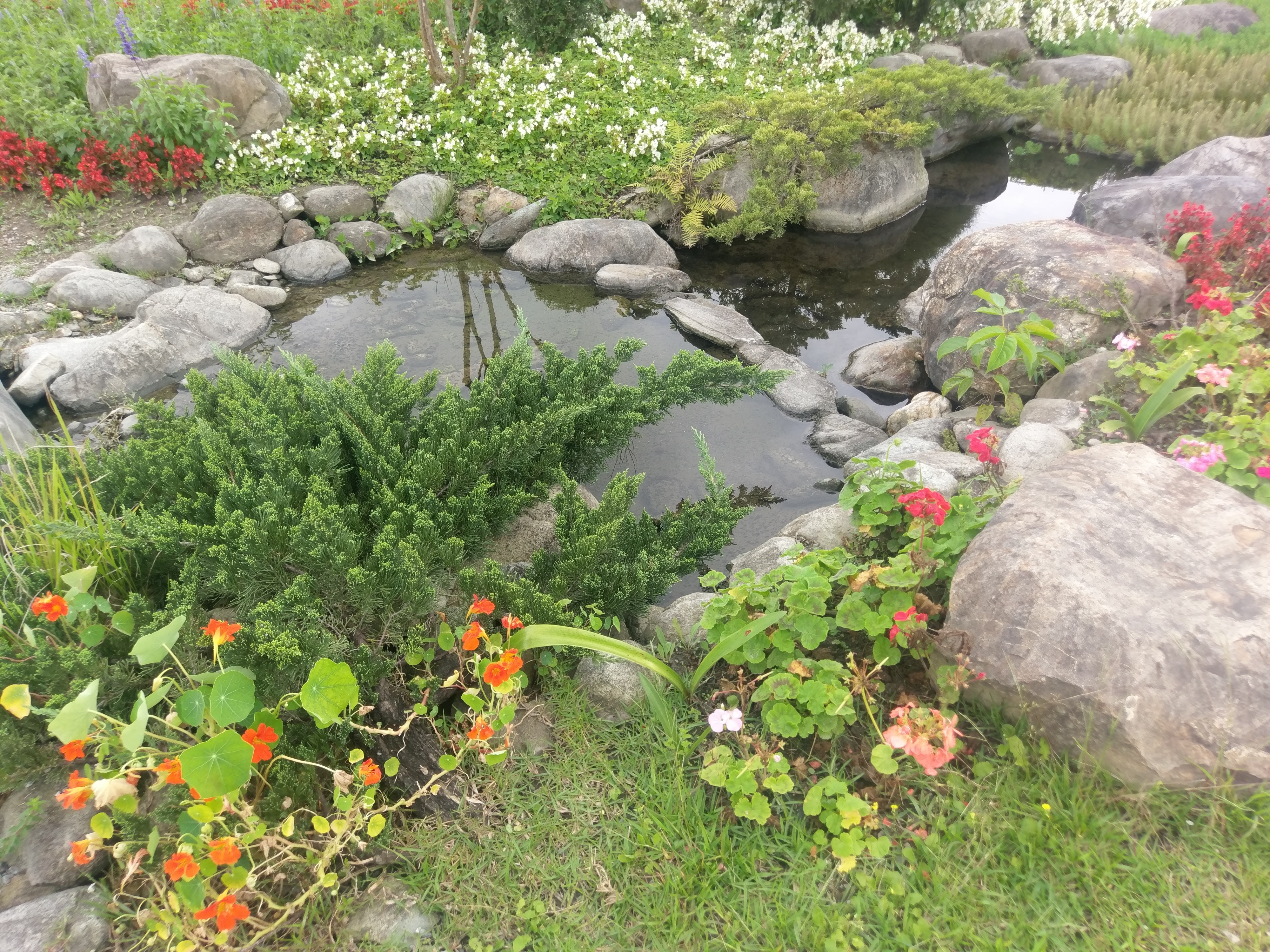 IMAG0016