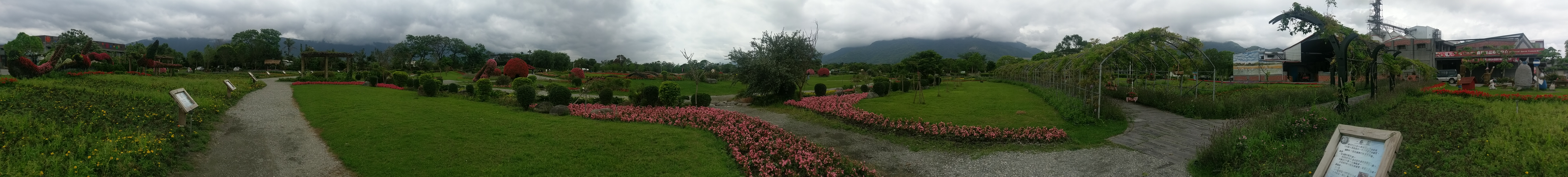 IMAG0018