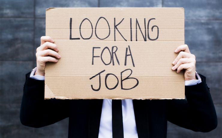 Looking for a job