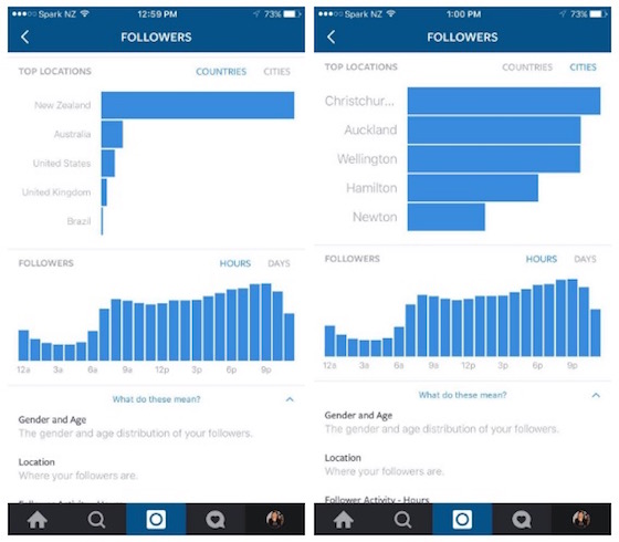 Instagram-Follower-and-Post- Analytics_2