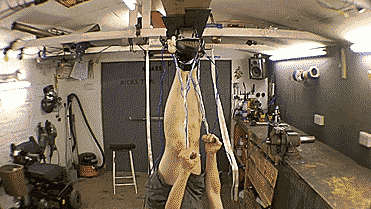 furze1