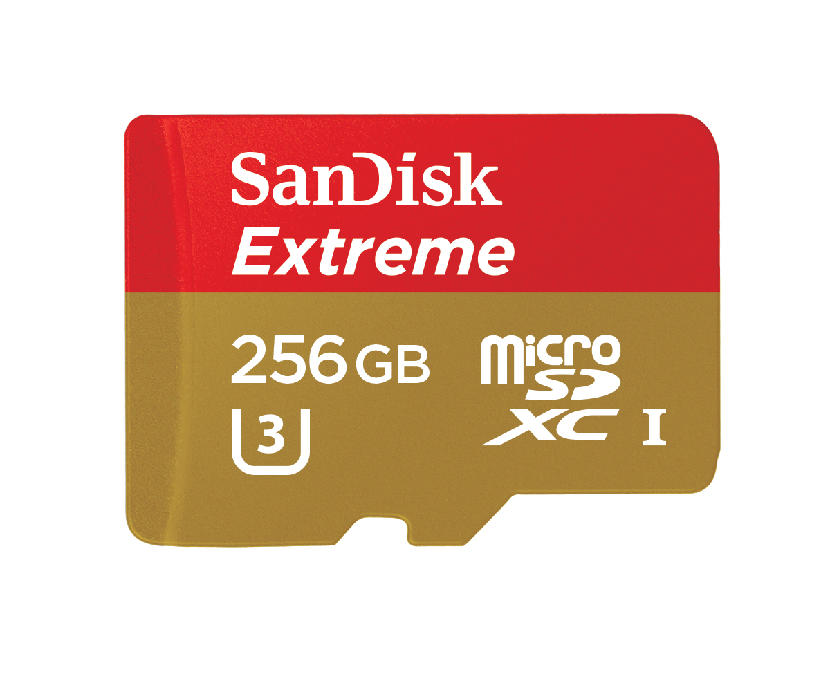 Extreme-microSDXC-U3-256GB-HR