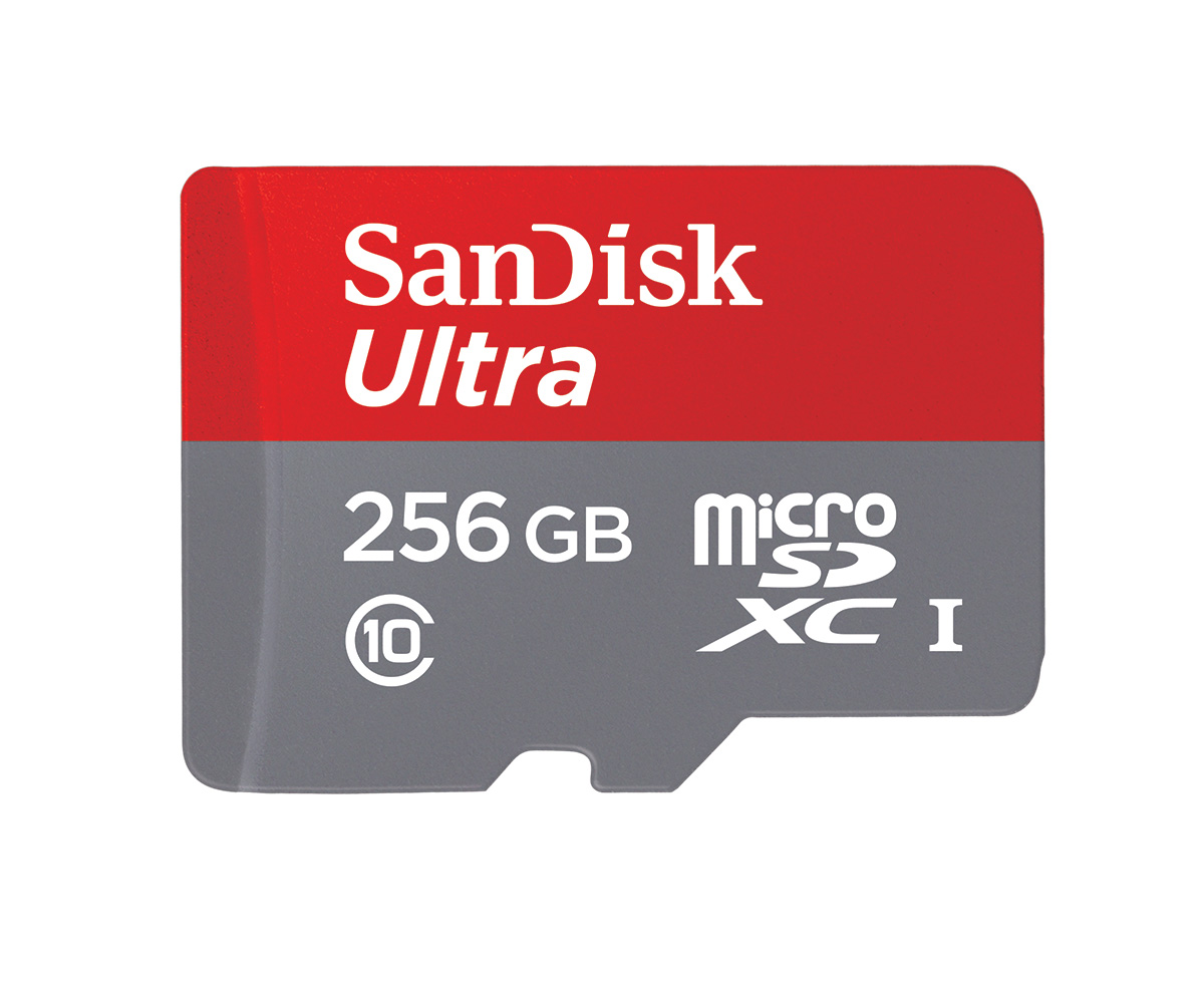 Ultra-microSDXC-UHS-I-C10-256GB-HR