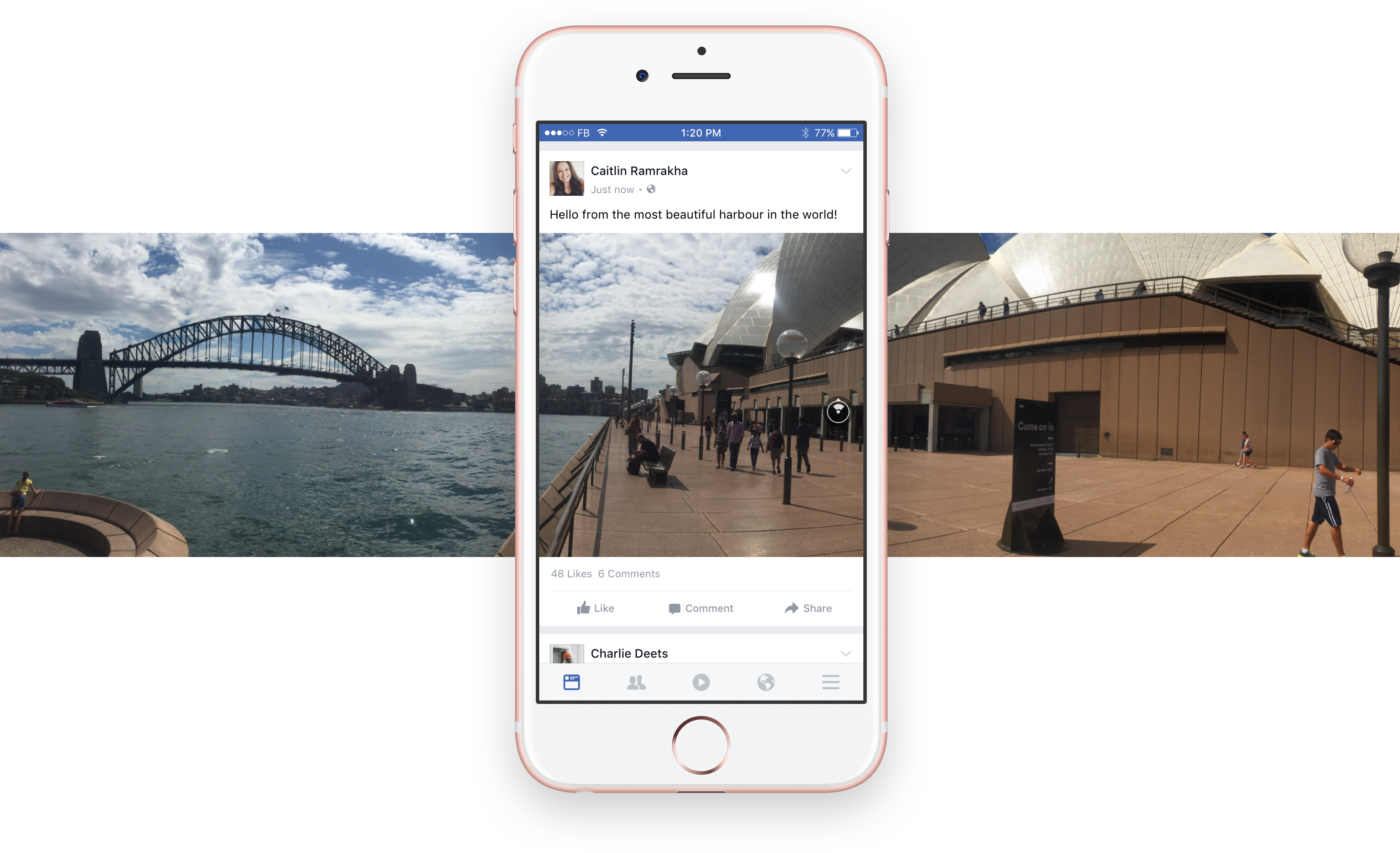 Sydney - Feed