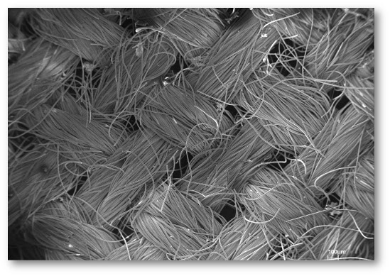 Activated carbon cloth