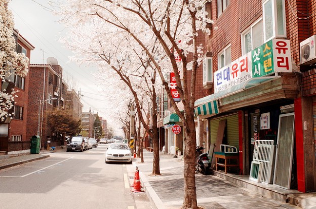 南韓進出口急凍，日經：中韓 FTA 簽了也沒用