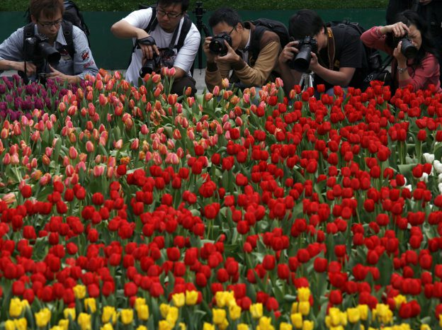 《金融時報》：無關供給面改革、唐山花展才是鐵礦砂飆升主因