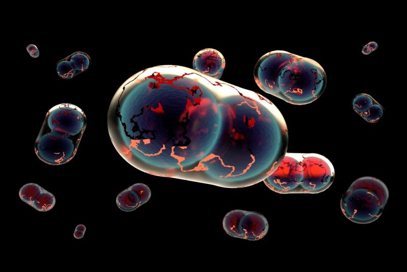 背黑鍋的天花病毒，出現歷史再次成謎 | TechNews 科技新報