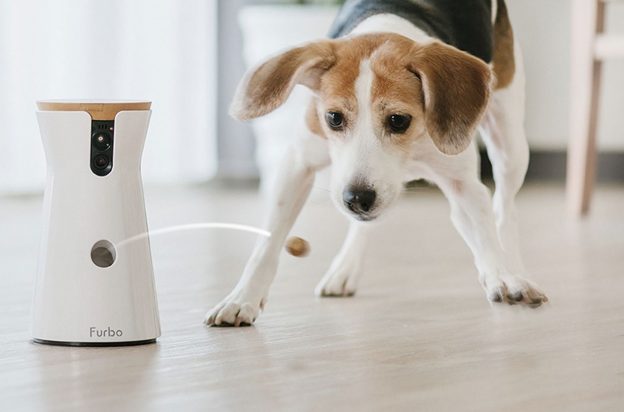 台灣品牌 Tomofun 創意研發 Furbo 狗狗攝影機，Amazon Prime Day 首日每小時賣千台