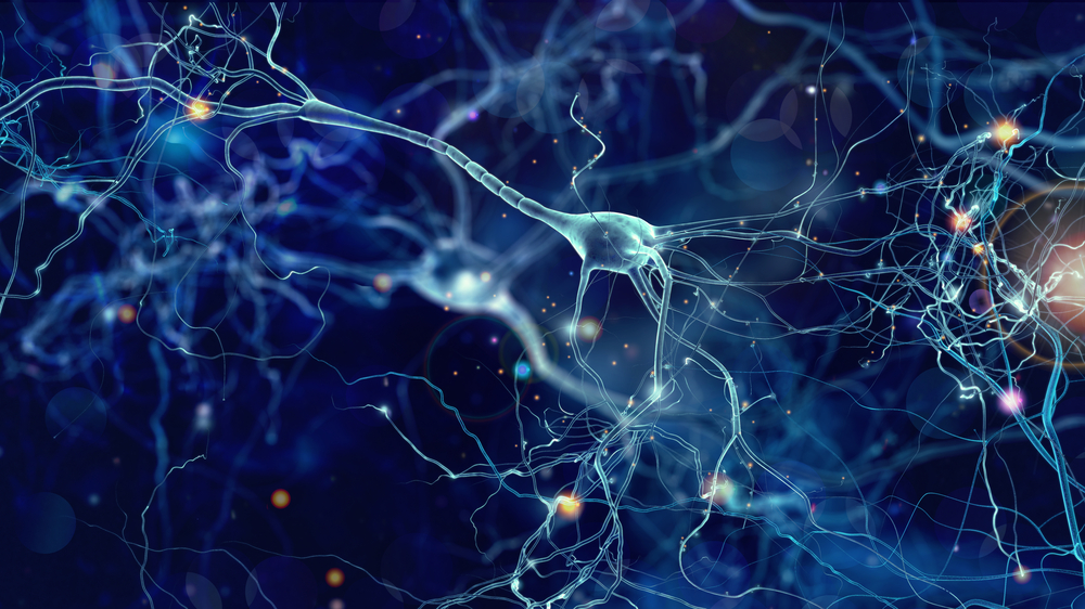 AI-Designed Intrabodies Could Open New Therapies for Alzheimer's, Parkinson's, and ALS