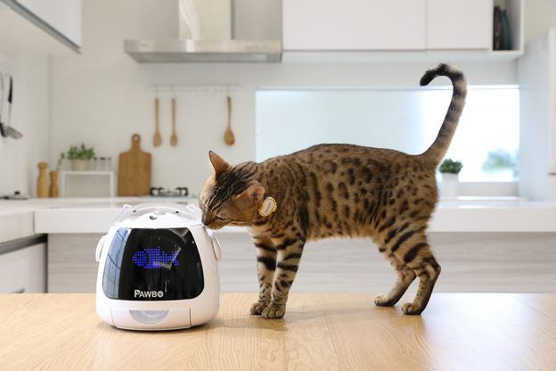 波寶推出 3 款寵物智慧穿戴裝置