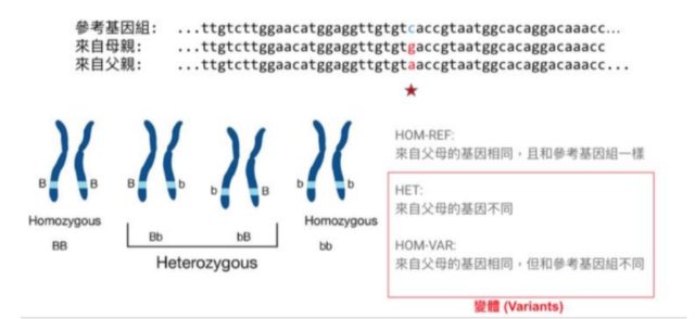 分享 Google Brain 跨領域合作成果，簡立峰：開放源碼讓工程師與科學家能互有貢獻