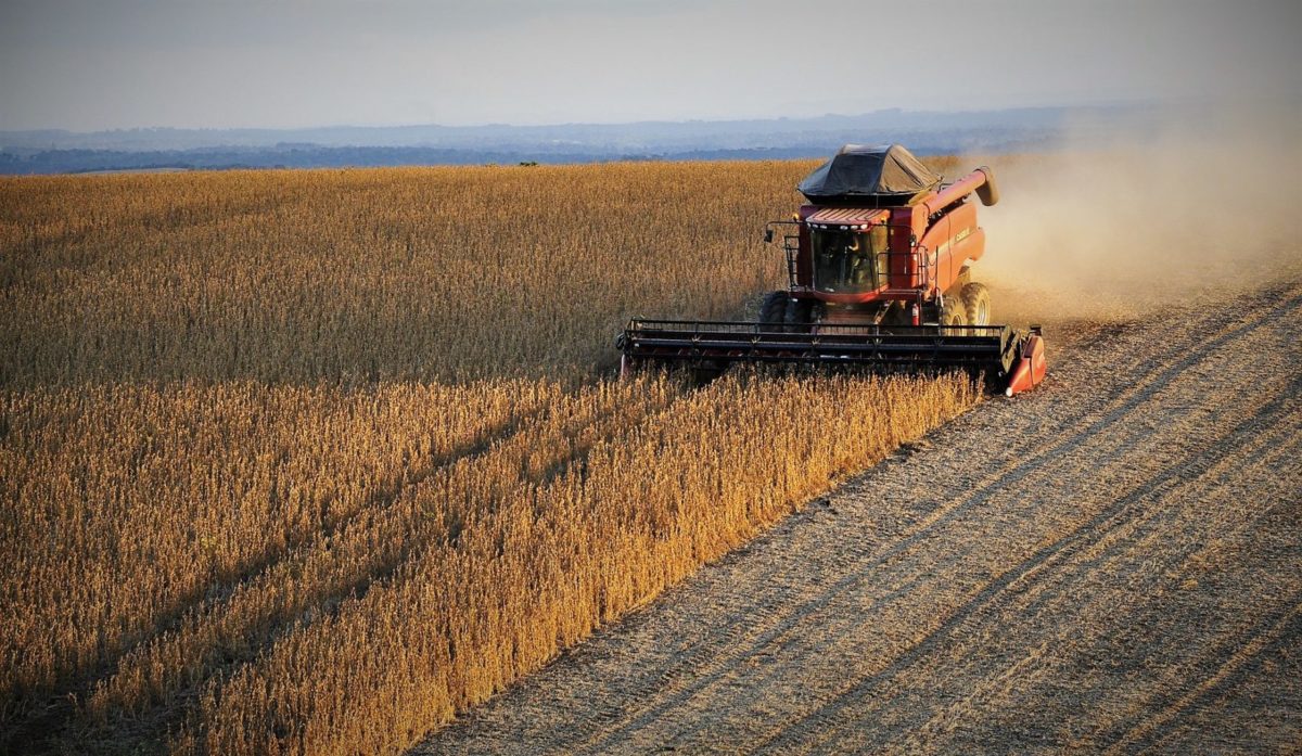 中美貿易戰火熱，巴西大豆漁翁得利| TechNews 科技新報